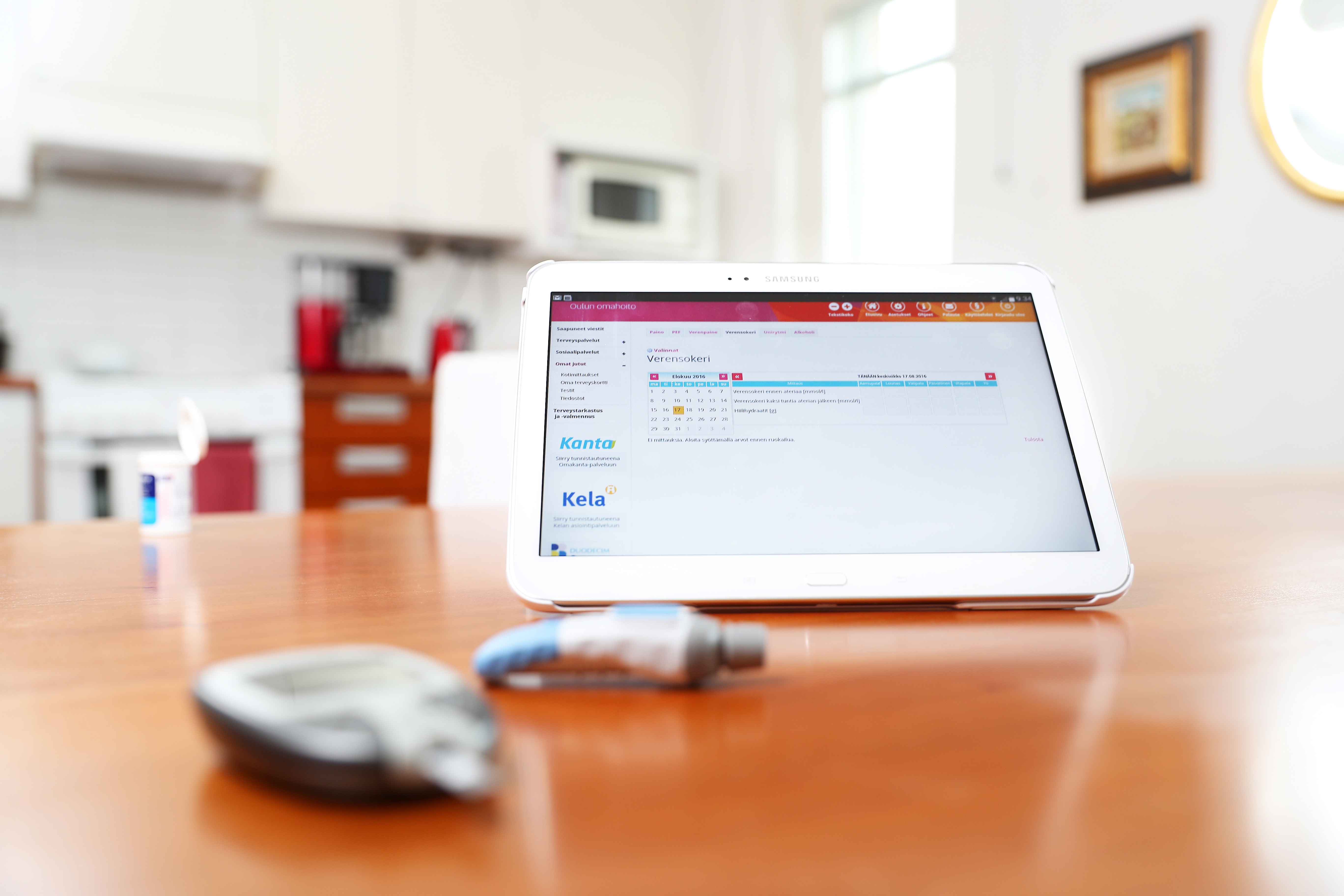 E-service for health and social care 2.jpg