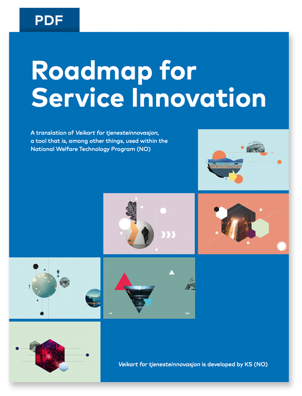 Roadmap for Service Innovation